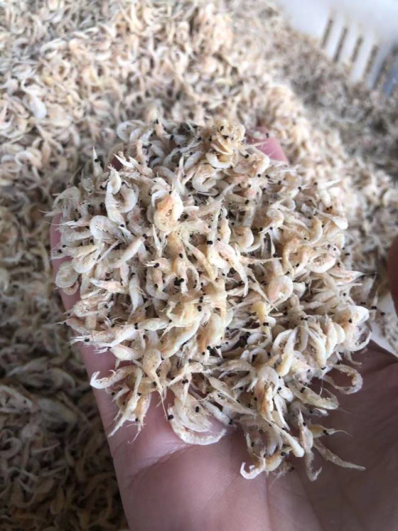 竹节虾，淡干虾皮量大从优欢迎全国老板前来考察洽谈