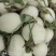 玉菇甜瓜