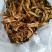 高山黄牛肝菌纯黄牛肝无杂菌手工挑选做菌汤锅主料