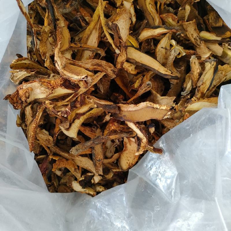 高山黄牛肝菌纯黄牛肝无杂菌手工挑选做菌汤锅主料