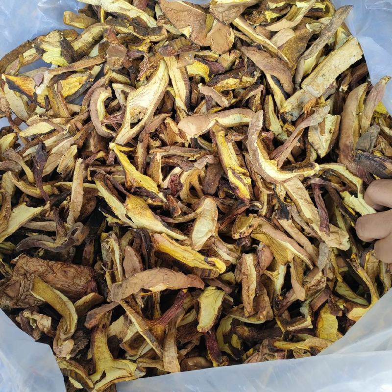 高山黄牛肝菌纯黄牛肝无杂菌手工挑选做菌汤锅主料
