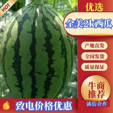 《推荐》优质全美2k西瓜大量供应货源充足欢迎采购