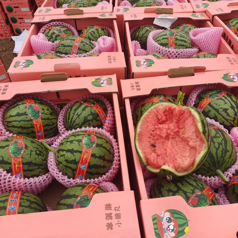 西瓜潍坊2k西瓜产地直销一手货源鲜货现发量大优惠
