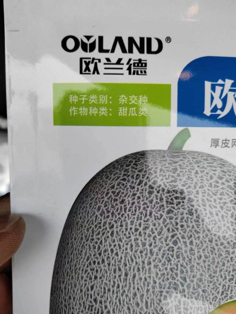 网纹甜瓜种子，欧蜜25大果高甜度，详细介绍请看包装说明谢