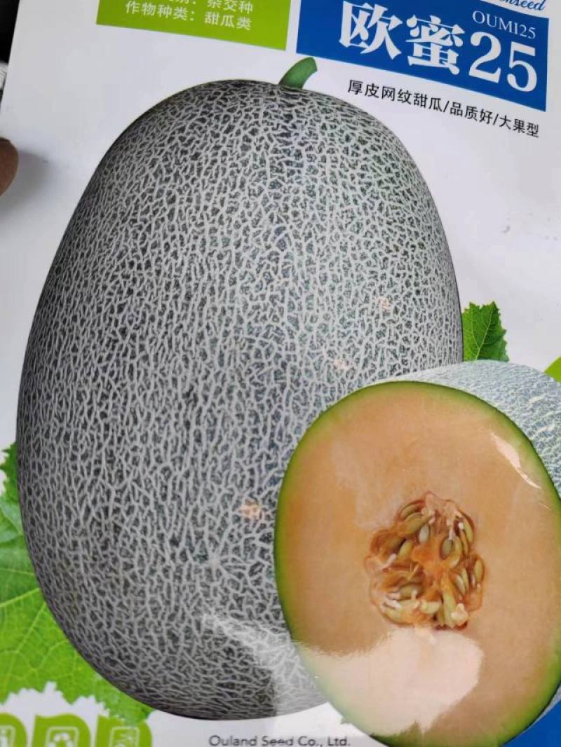 网纹甜瓜种子，欧蜜25大果高甜度，详细介绍请看包装说明谢