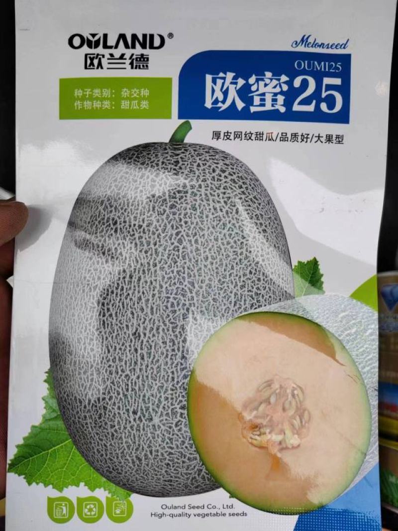 网纹甜瓜种子，欧蜜25大果高甜度，详细介绍请看包装说明谢