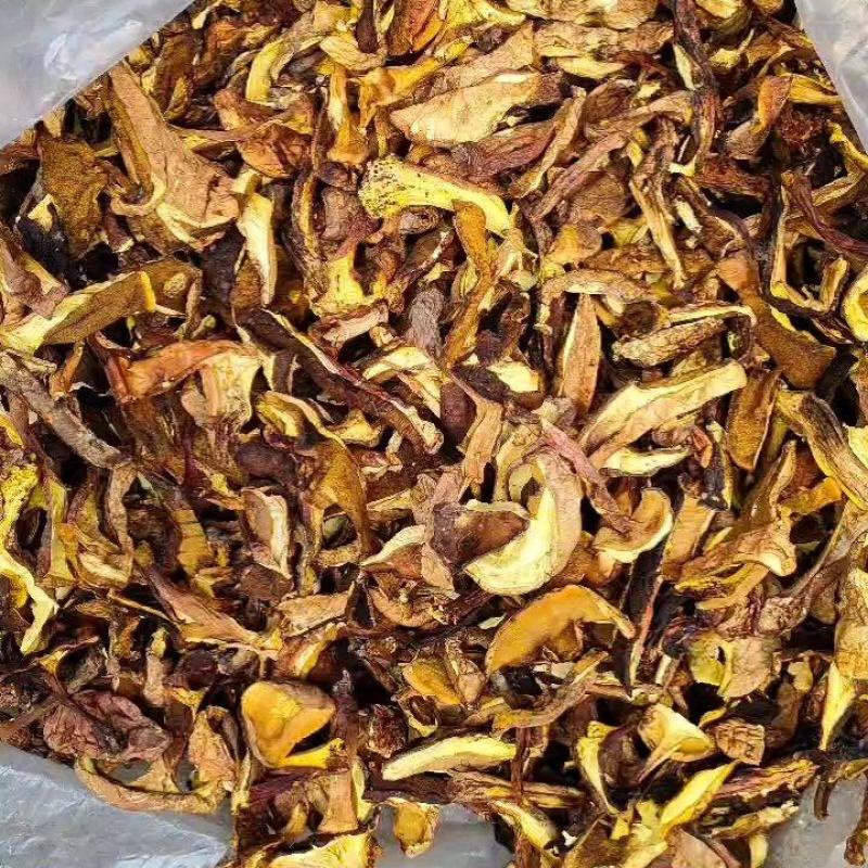 高山黄牛肝菌纯黄牛肝无杂菌手工挑选做菌汤锅主料