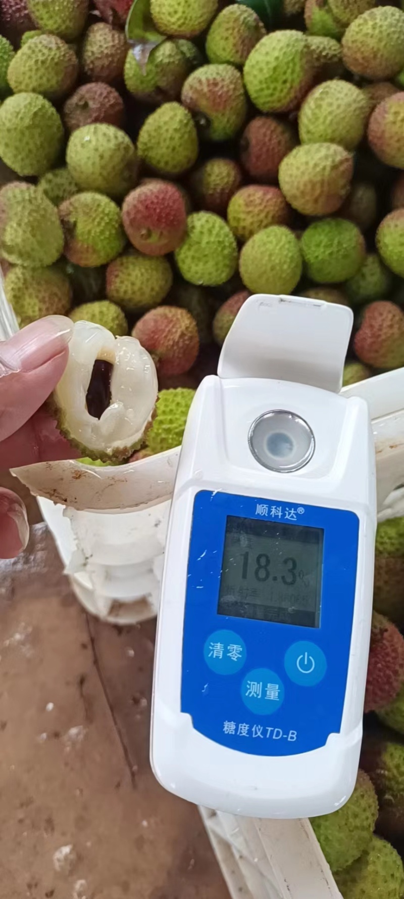 【产地发货】精品妃子笑荔枝大量上货中，批发商市场电商超市