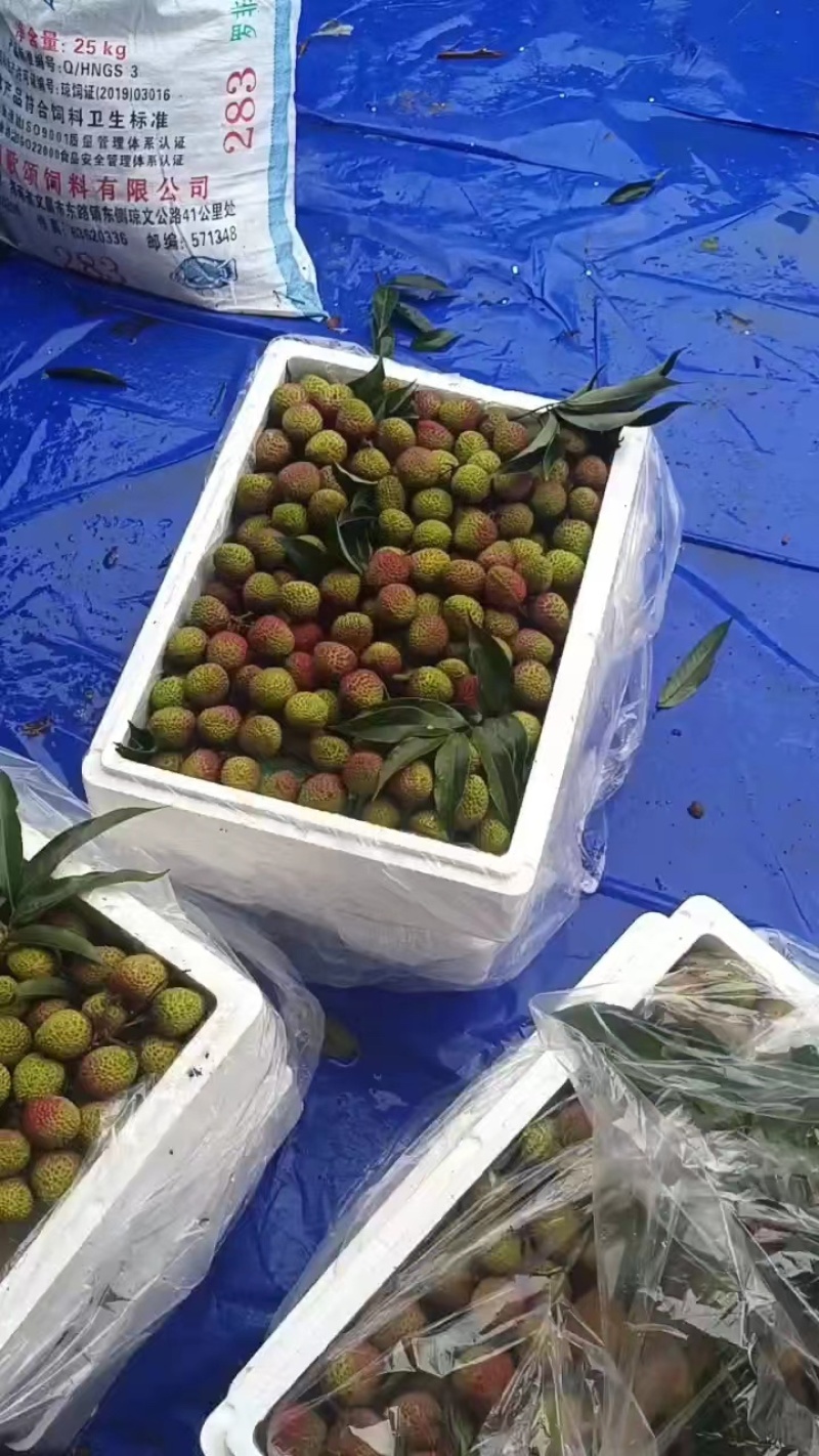 【产地发货】精品妃子笑荔枝大量上货中，批发商市场电商超市