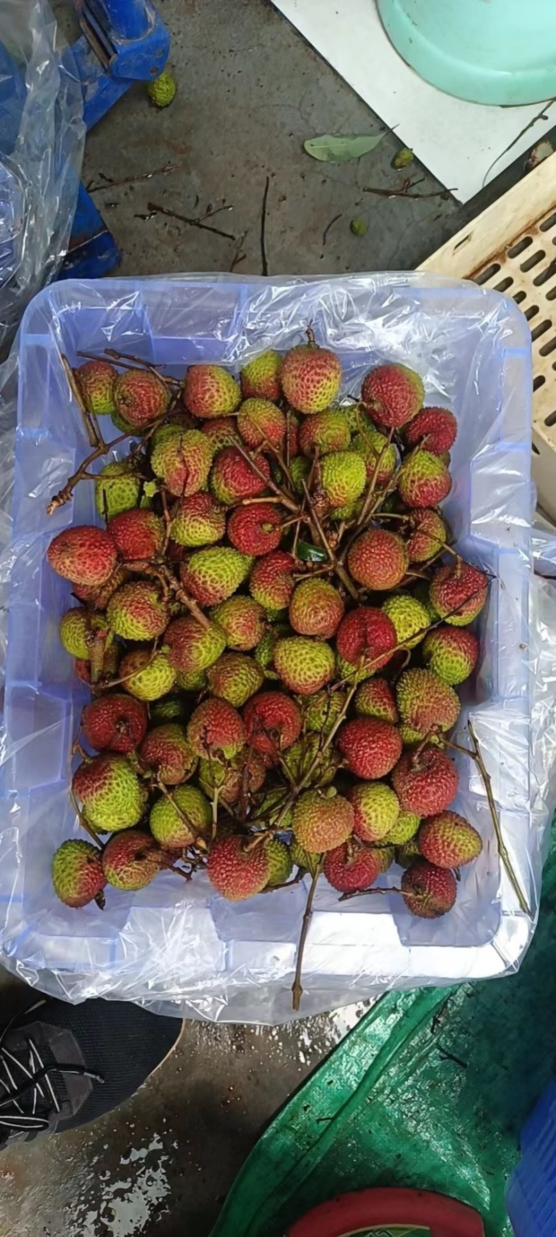 【产地发货】精品妃子笑荔枝大量上货中，批发商市场电商超市