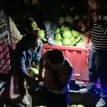 产地批发一品质量保证质量一手货源