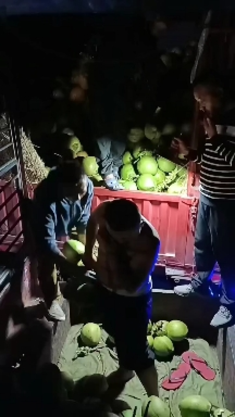 产地批发一品质量保证质量一手货源