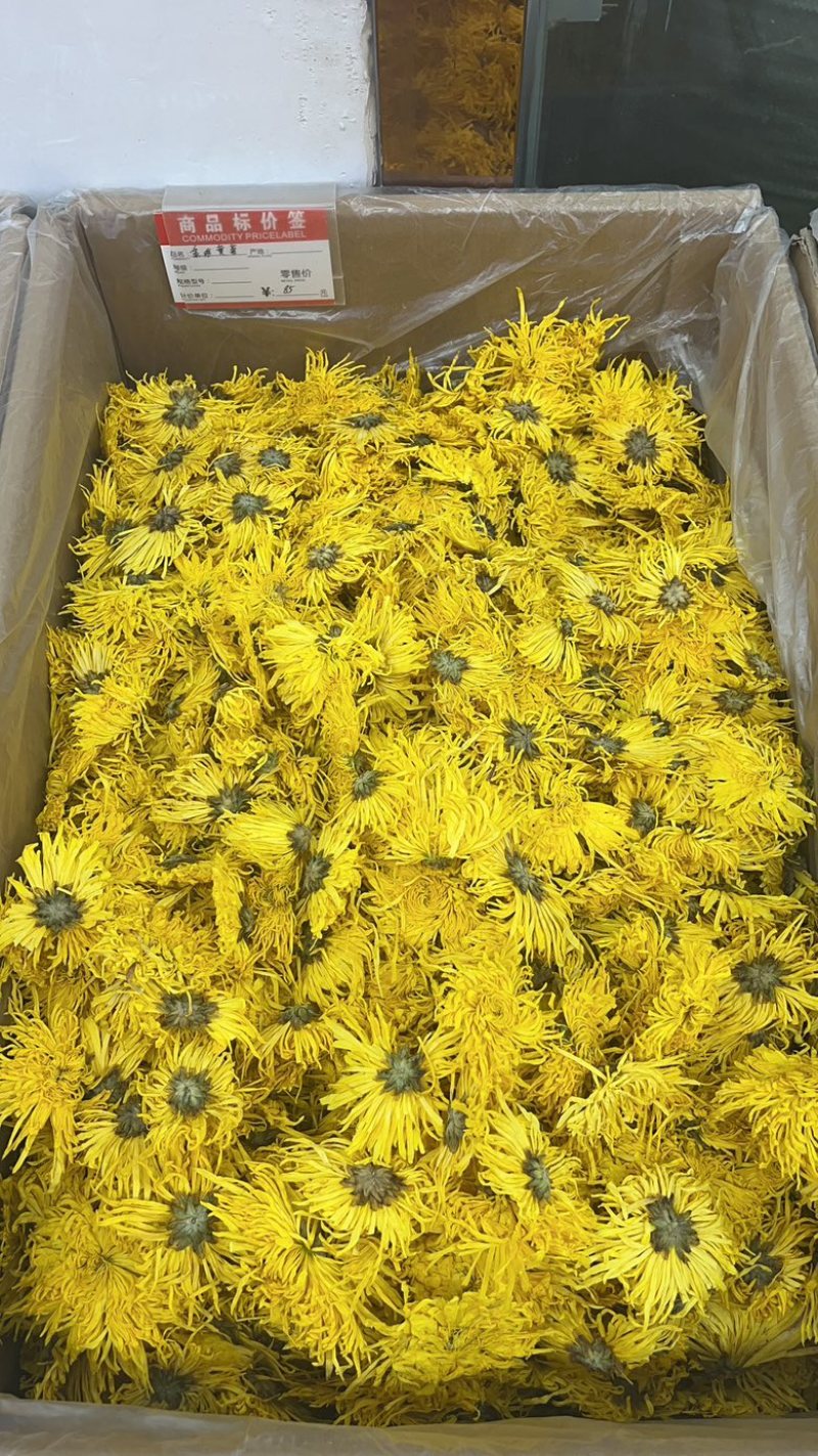 金丝皇菊花茶礼盒出售一手货源大货批发供应全国包邮