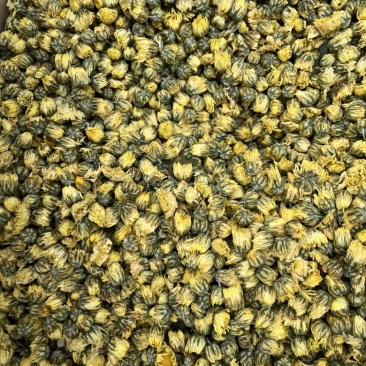 金丝皇菊花茶礼盒出售一手货源大货批发供应全国包邮