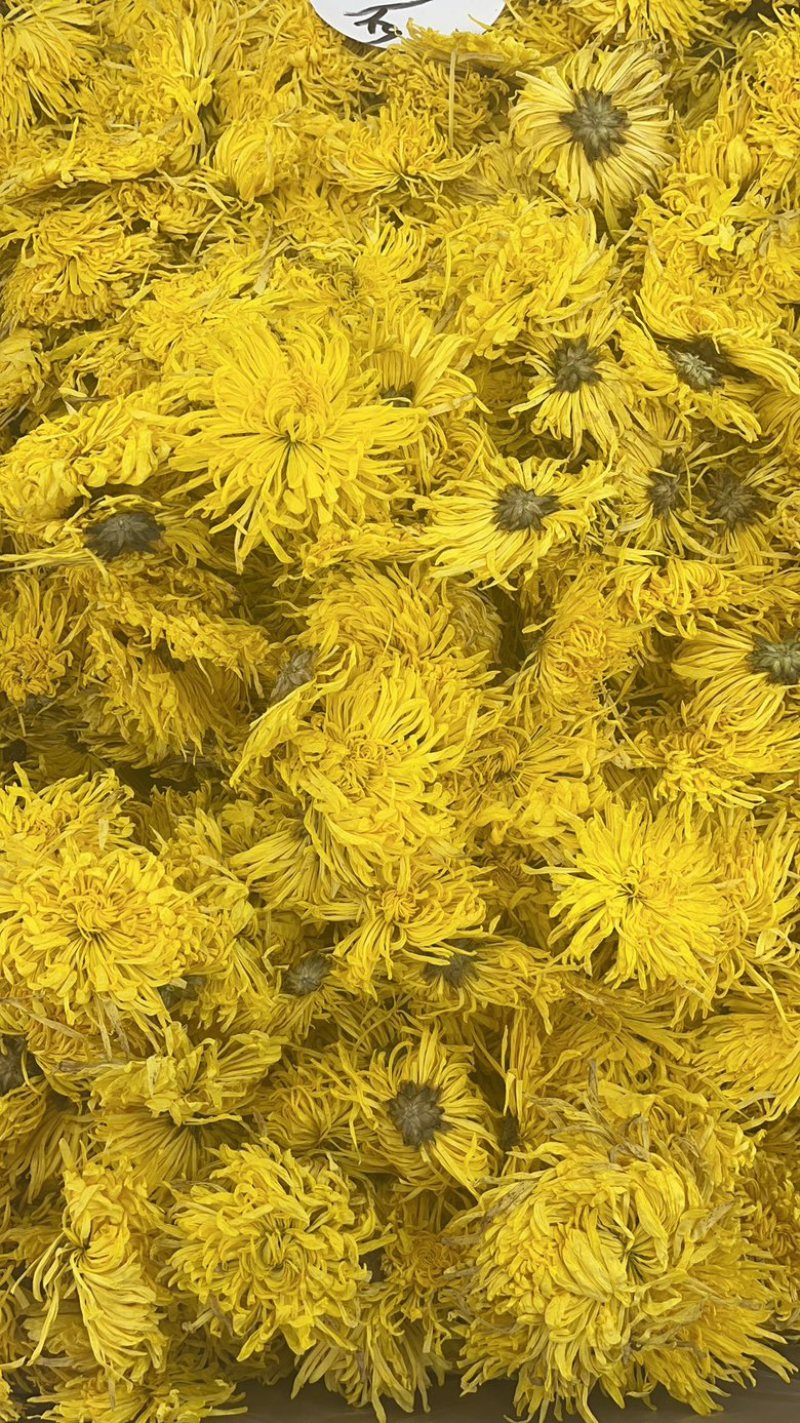 金丝皇菊花茶礼盒出售一手货源大货批发供应全国包邮