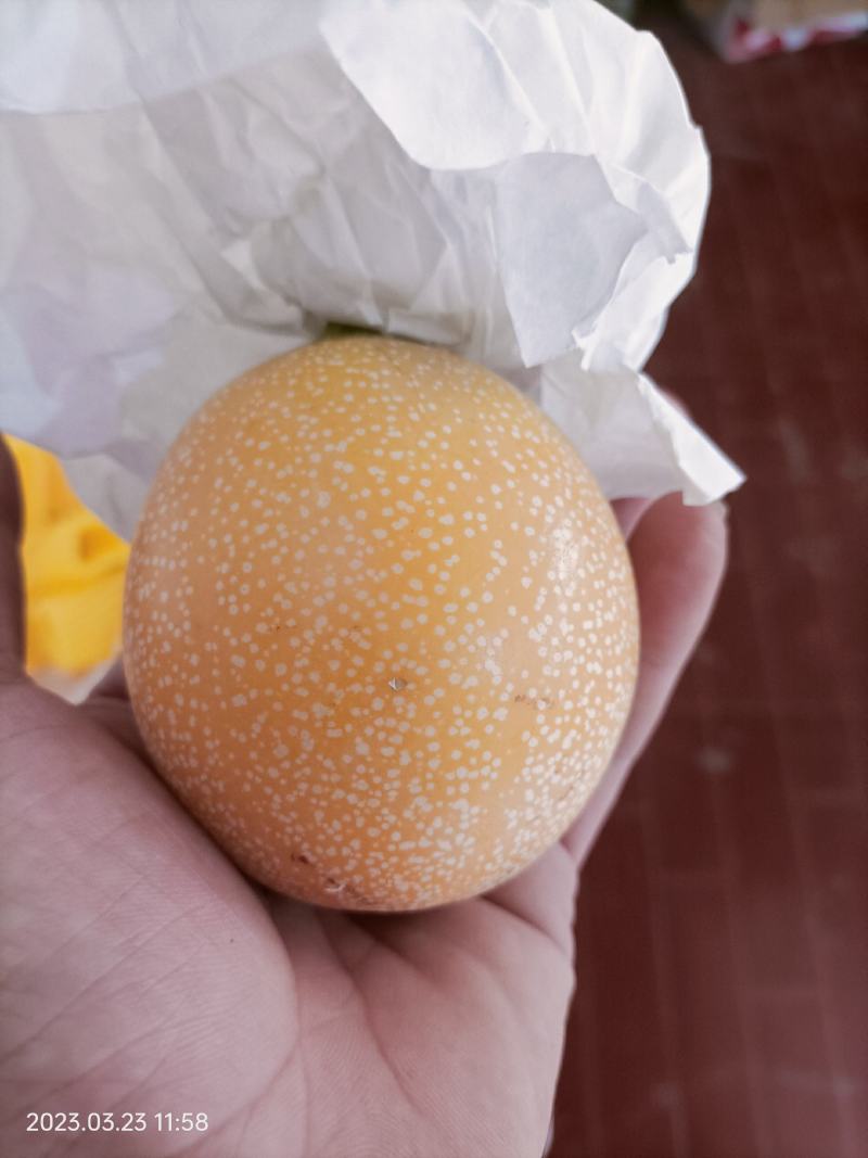 云南西双版纳热情果，有爱的水果会更甜，
