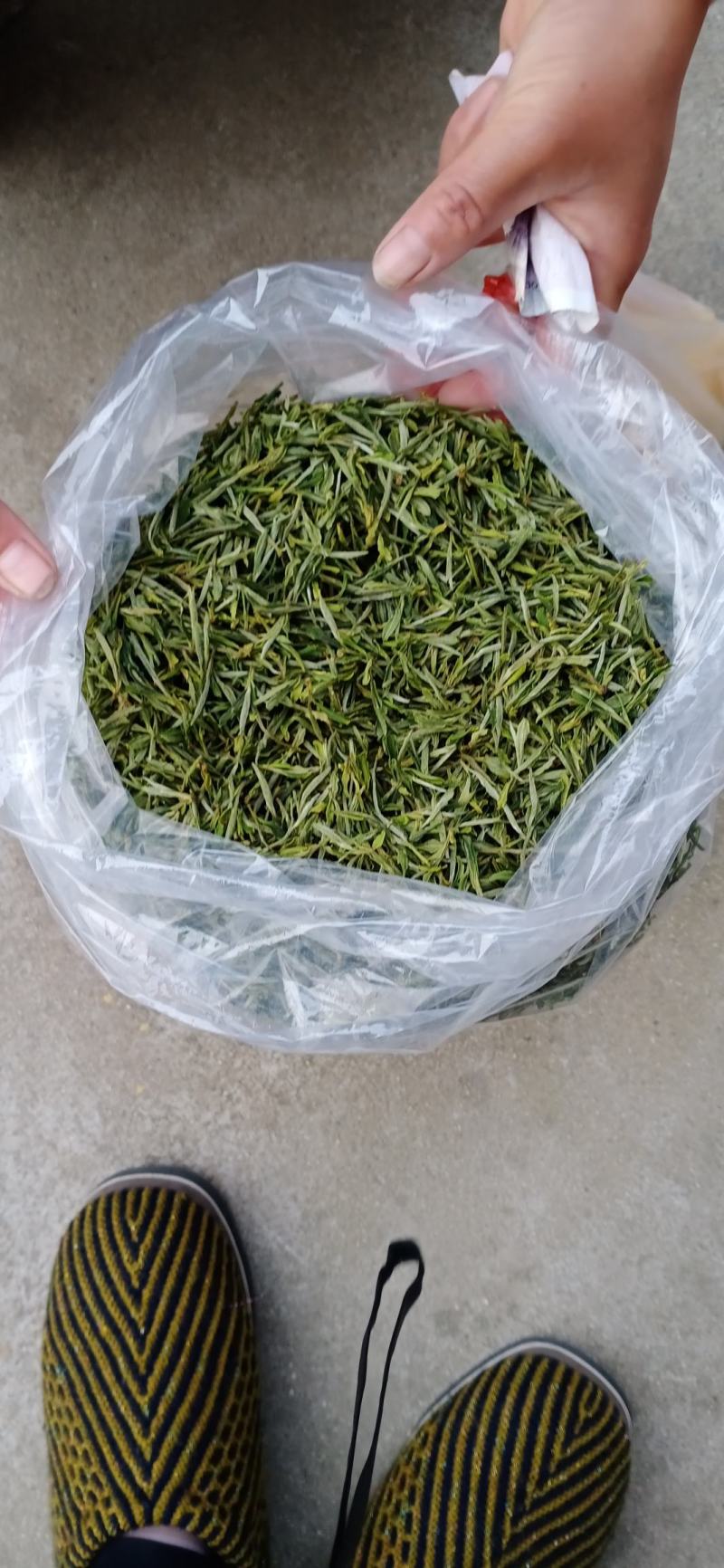 茶叶