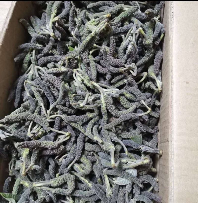 构棒，构棒棒，楮不揪构树穗