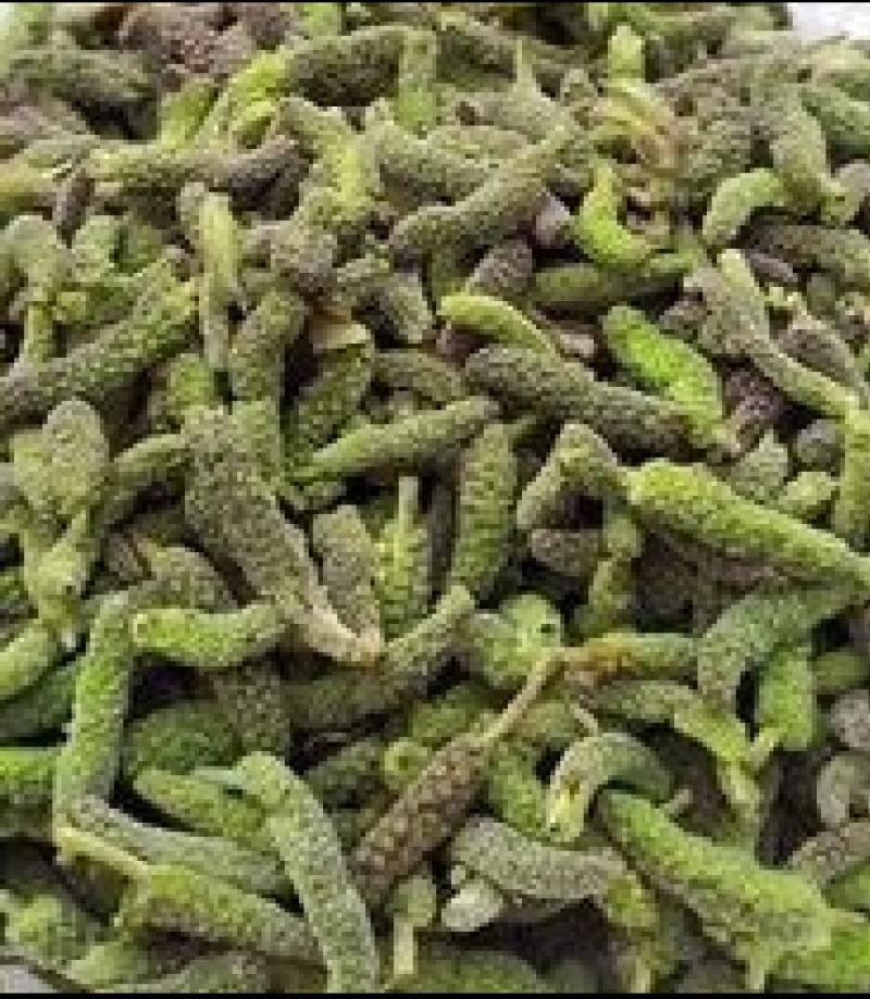 构棒，构棒棒，楮不揪构树穗