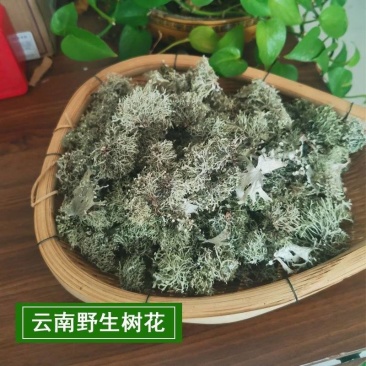 云南大理特产树花菜干货深山树毛凉拌菜树皮菜树蝴蝶树胡子菜
