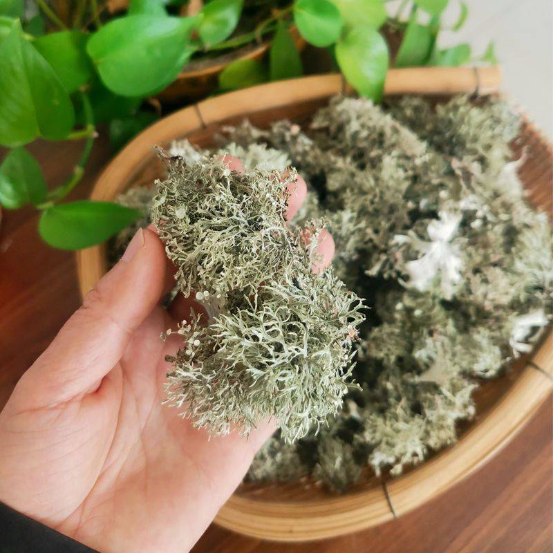 云南大理特产树花菜干货深山树毛凉拌菜树皮菜树蝴蝶树胡子菜