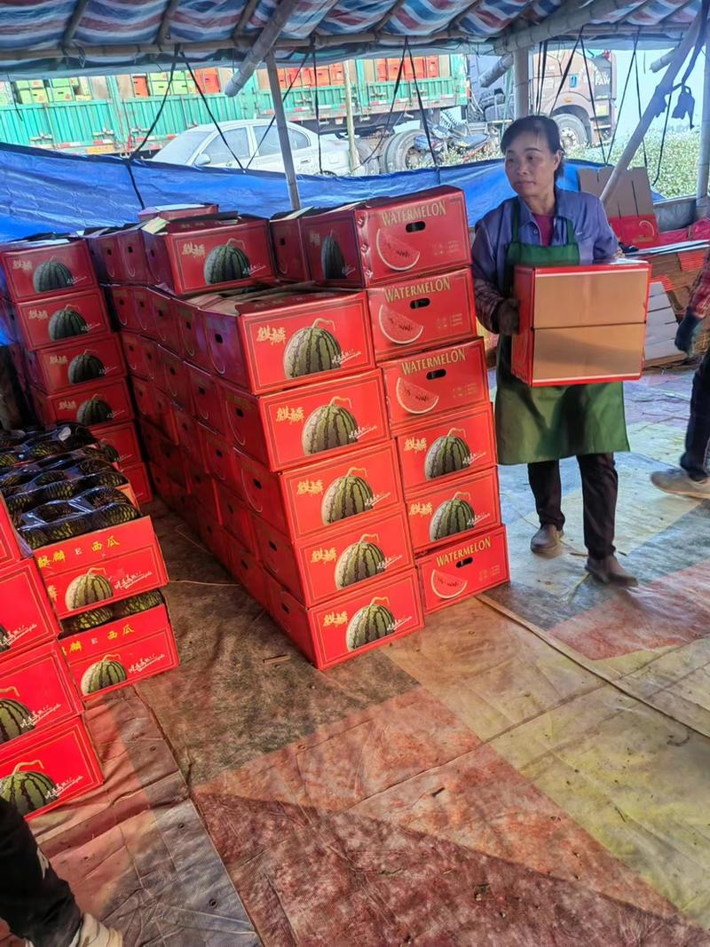 甜王麒麟西瓜，大量现货供应，头茬瓜，甜度高，欢迎老板合作
