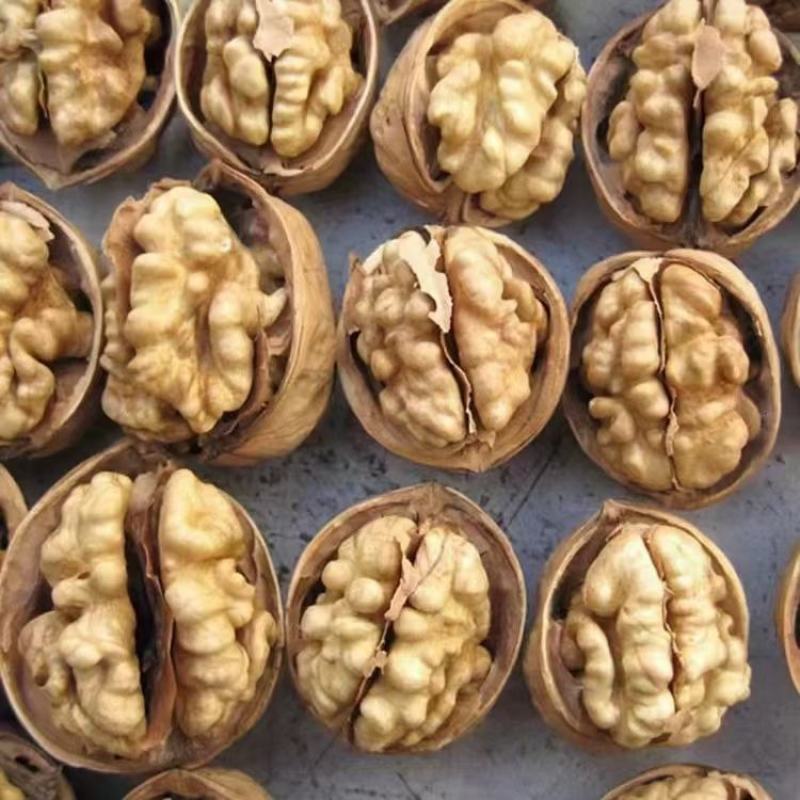 新疆薄壳核桃