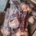 多肉牛棒骨价格低质量好肉多