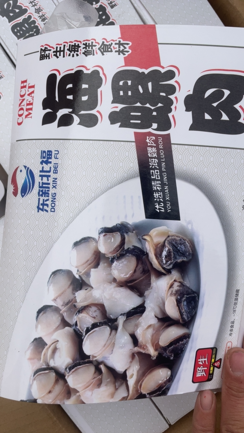 海螺肉去壳海螺头海螺肉江苏海鲜水产批发