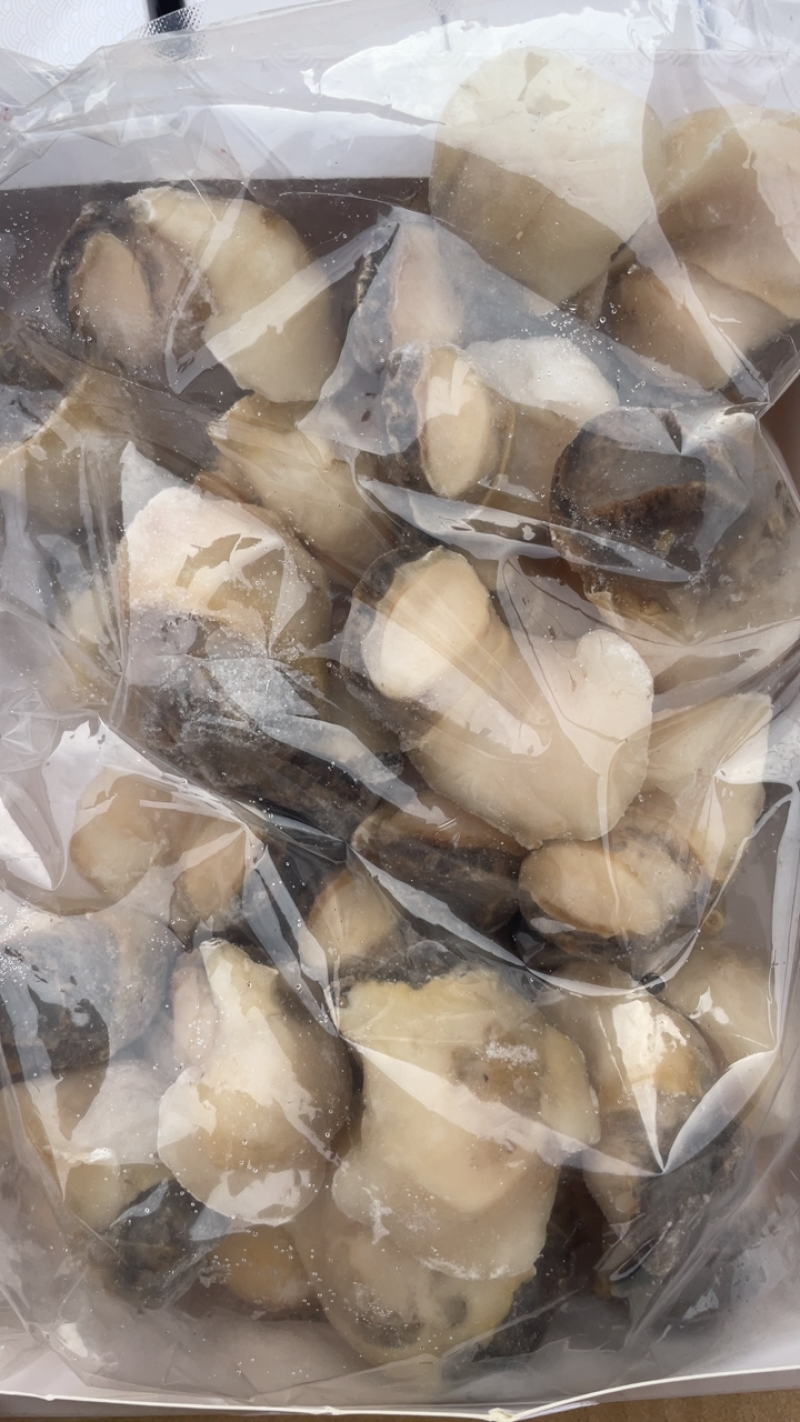 海螺肉去壳海螺头海螺肉江苏海鲜水产批发