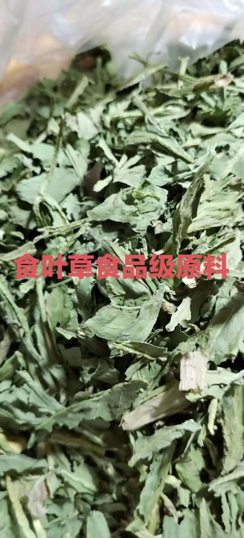 【牛商推荐】食品级食叶草原料可视频看货一次合作终身朋友