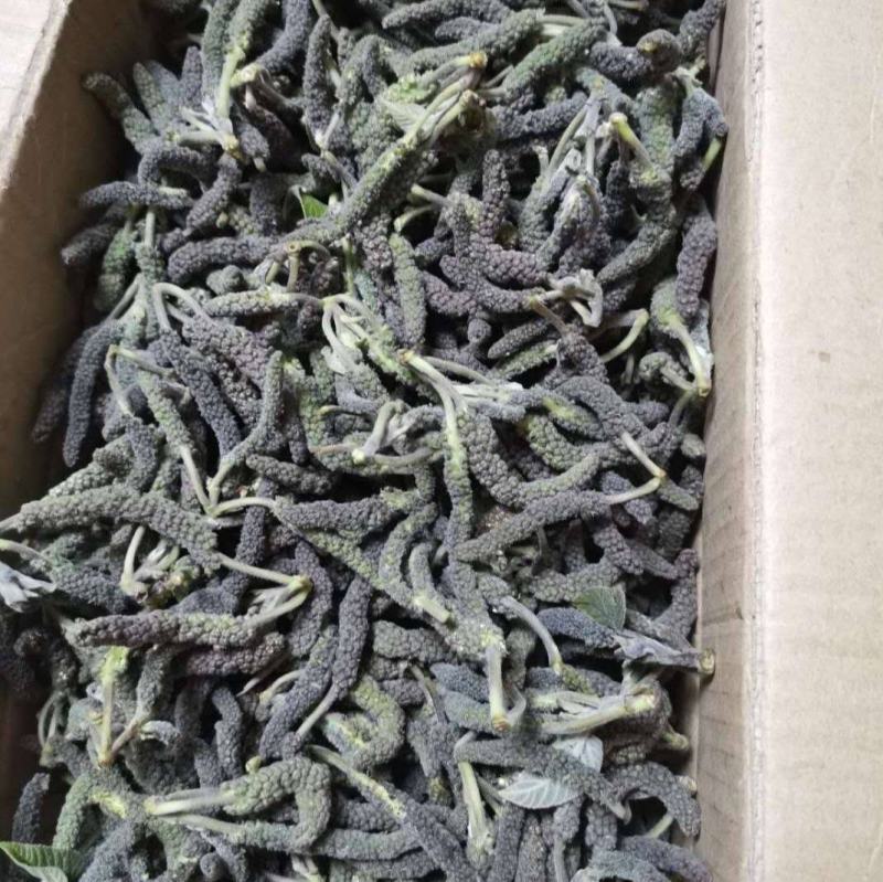 构棒，构树橞，苟棒