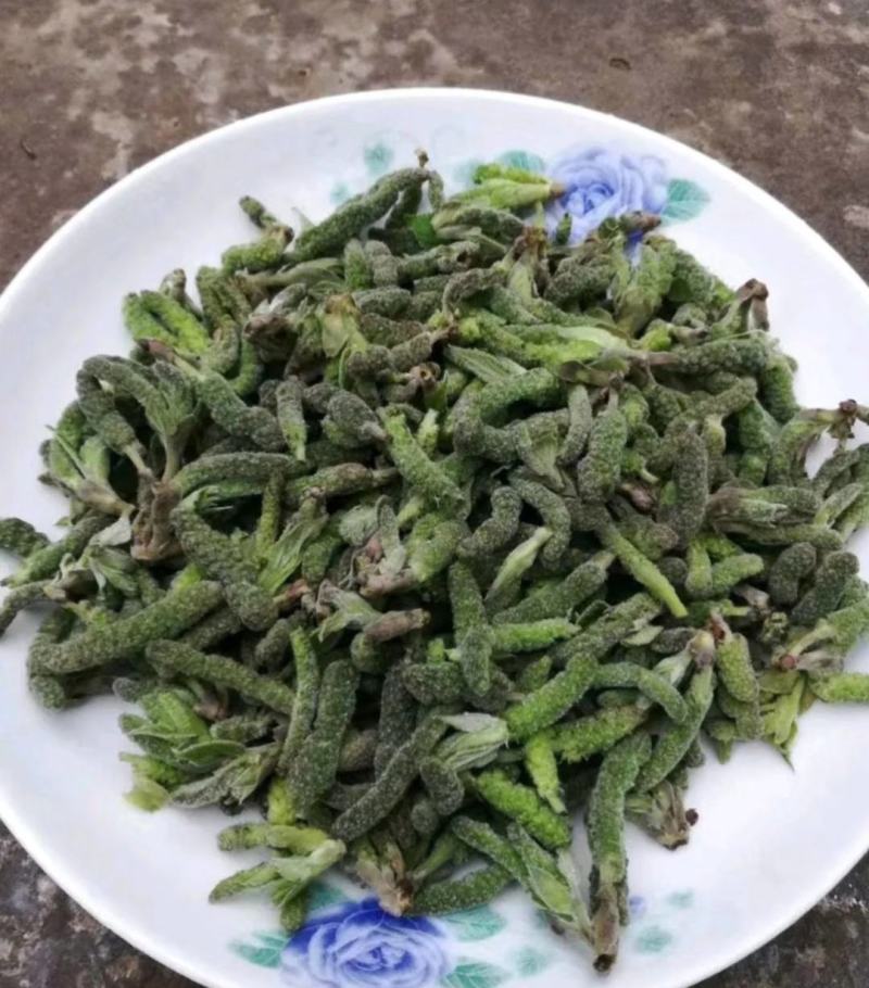构棒，构树橞，苟棒