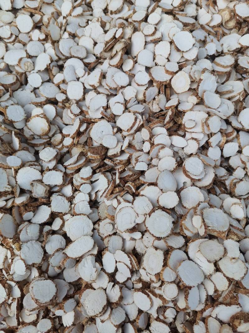 白芷片，香白芷圆片，香味浓郁，农家小户种植