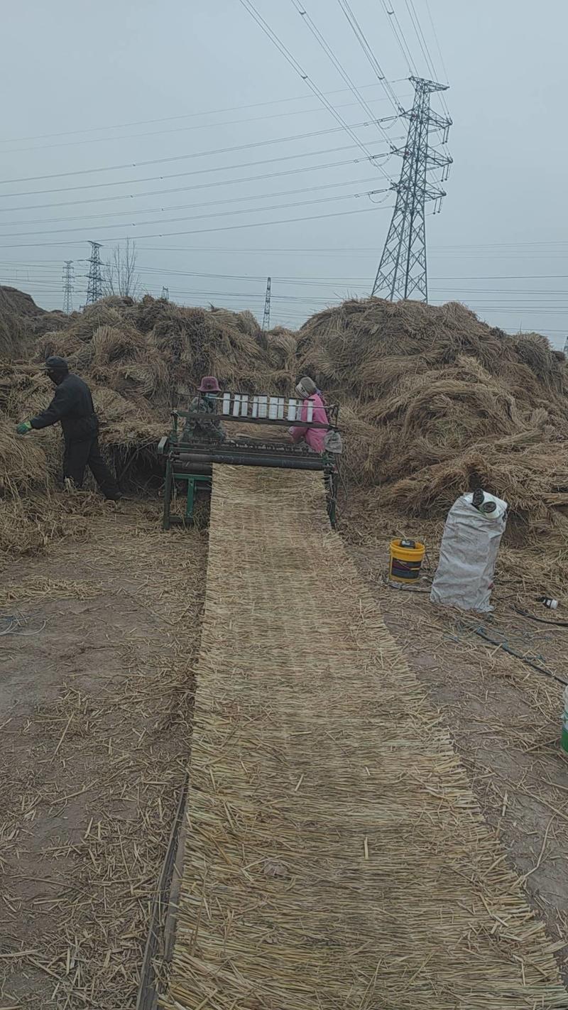 河南濮阳厂家供货草甸子大小厚薄可选择全国可以接单货量大价格