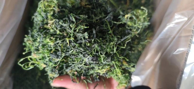 荠菜干，干荠菜，2023新货，山野菜，