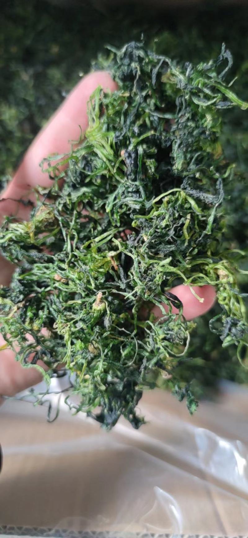 荠菜干，干荠菜，2023新货，山野菜，