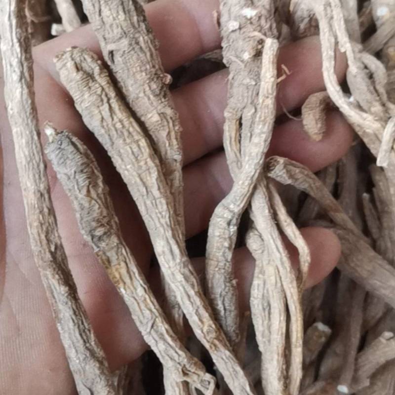 白芷片，香白芷圆片，香味浓郁，农家小户种植