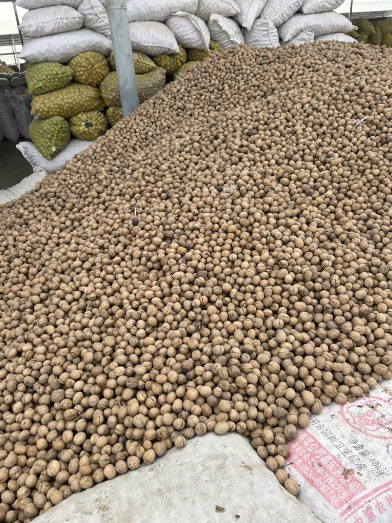 新疆阿克苏核桃