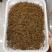 贵州凤冈锌硒茶！毛峰毛尖雀舌绿宝石遵义红！大量口粮茶上市