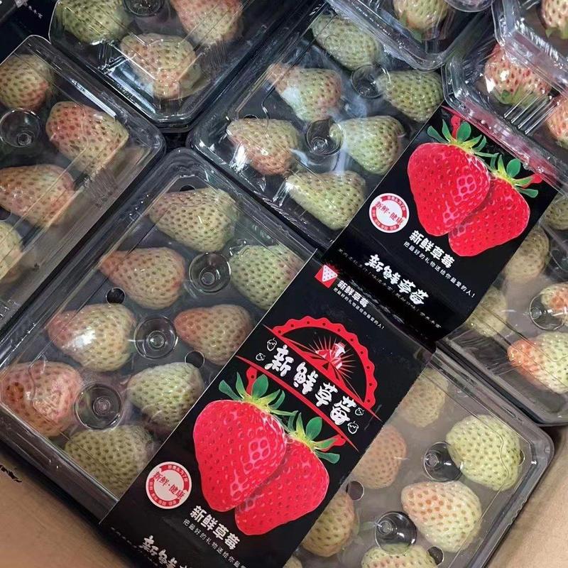红颜草莓，水晶盒包装