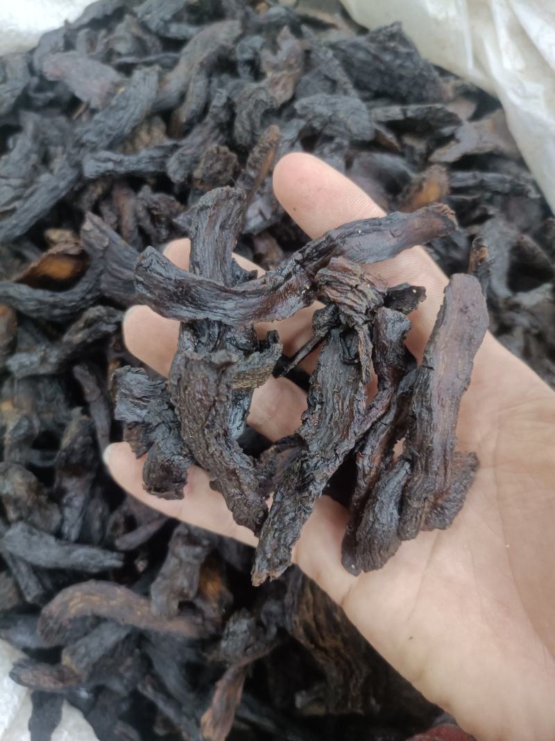 精品肉苁蓉、可批发可零售量大从优