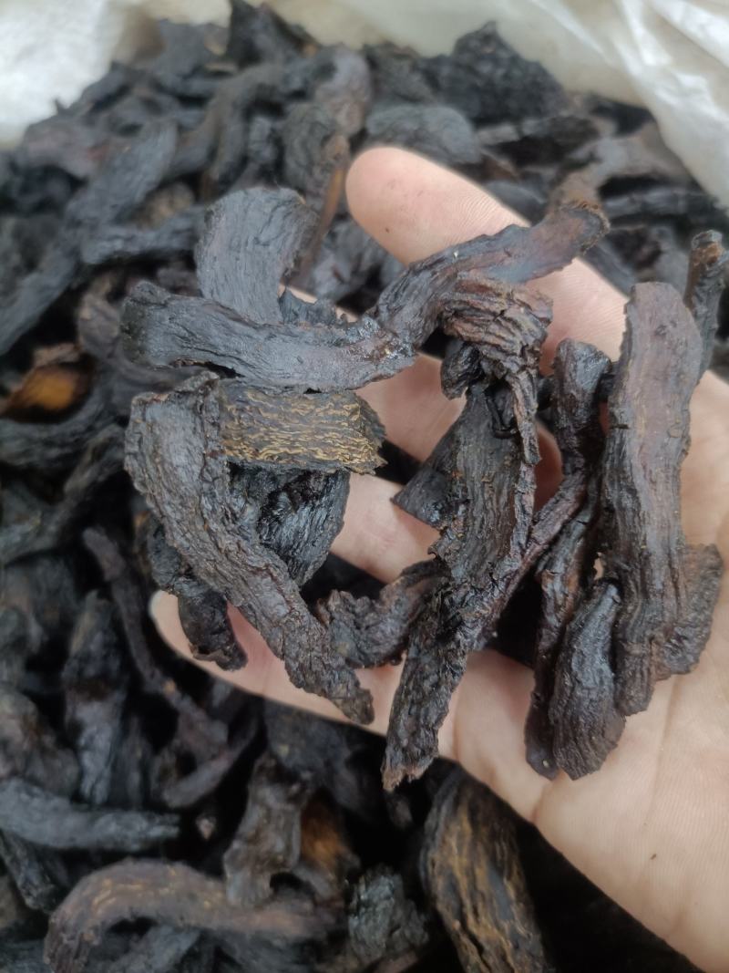 精品肉苁蓉、可批发可零售量大从优
