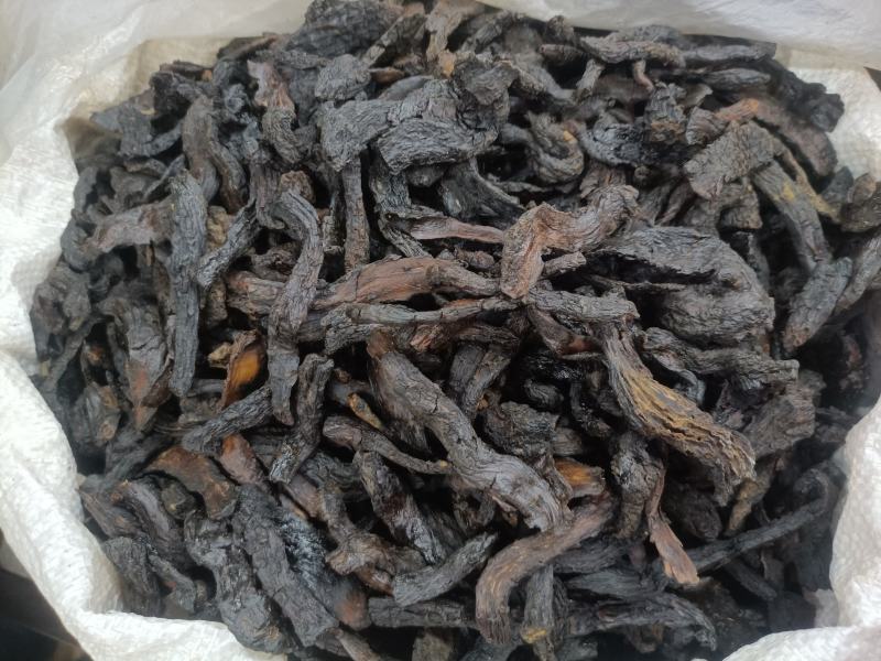 精品肉苁蓉、可批发可零售量大从优