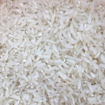 广东大米