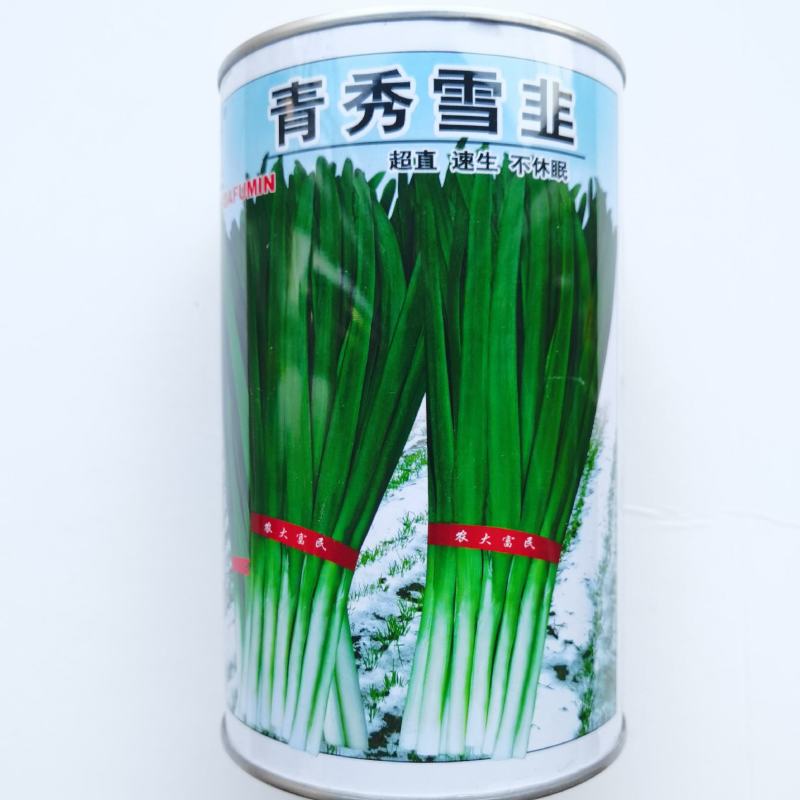 农大墨绿韭菜种子宽叶雪韭耐热不休眠韭菜种籽直速生韭菜种籽