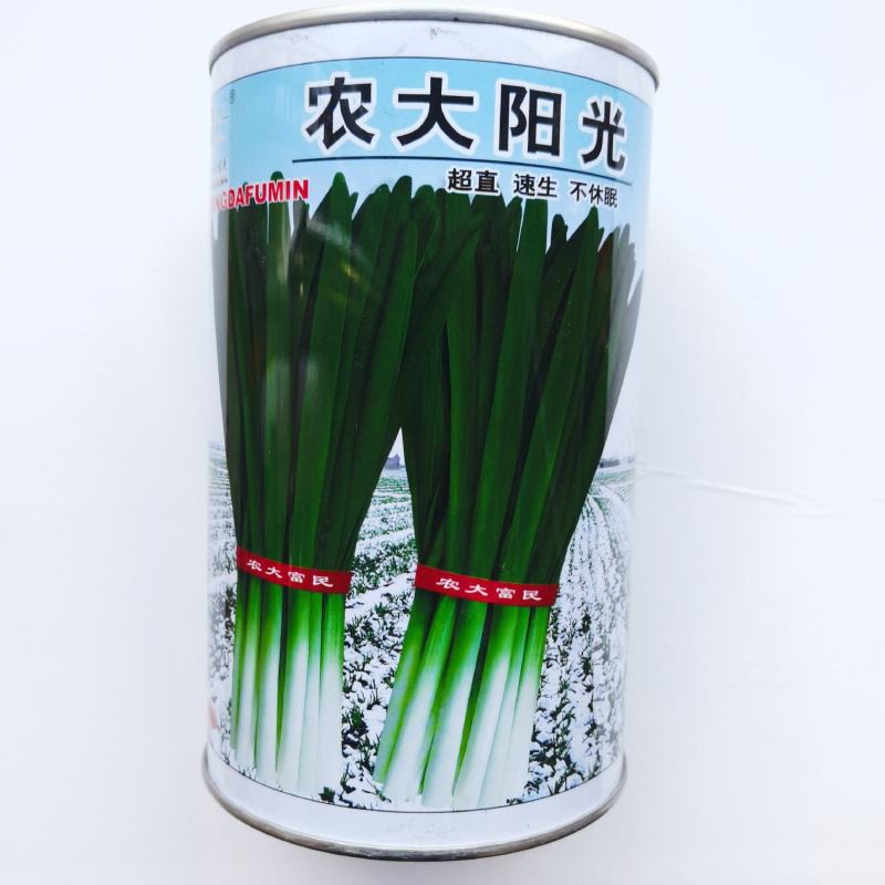 农大墨绿韭菜种子宽叶雪韭耐热不休眠韭菜种籽直速生韭菜种籽