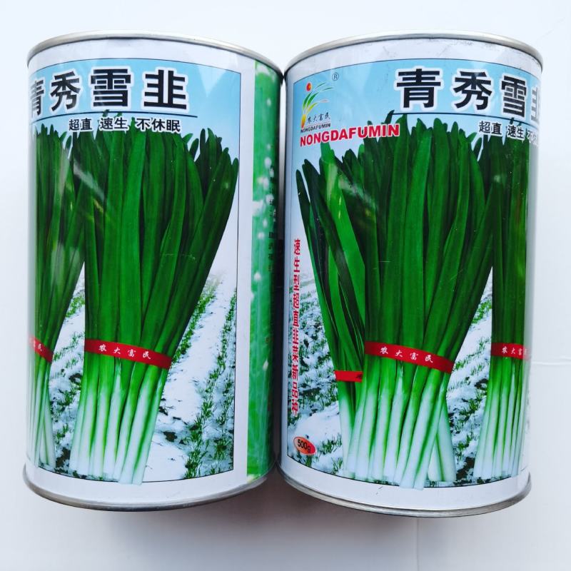 农大墨绿韭菜种子宽叶雪韭耐热不休眠韭菜种籽直速生韭菜种籽