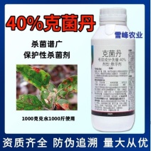40%克菌丹杀菌剂防治果树苹果树斑点落叶病杀菌剂农药