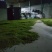 杜仲雄花